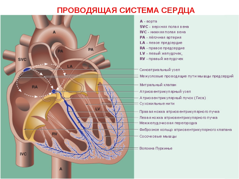 roditelyam_part_011